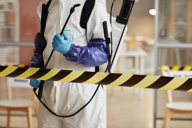 Professional Sewage Cleanup technician working in Gerlach, NV