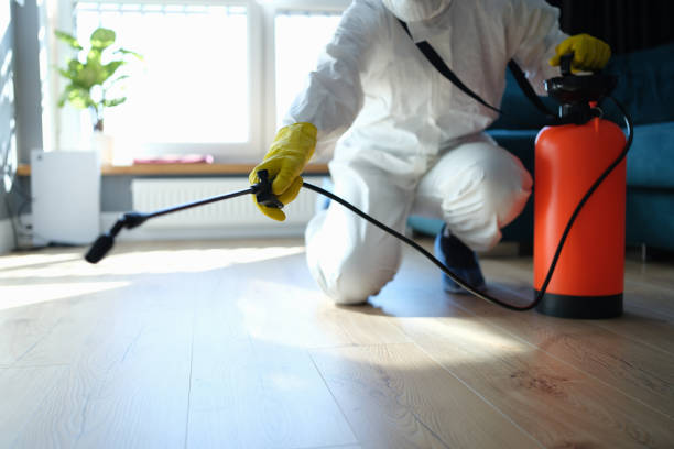 Reliable Sewage Cleanup contractor in Gerlach, NV by Trauma Clean Pros